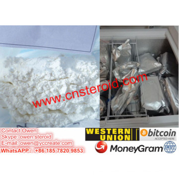 Clostebol Acetat Steranabol Macrobin Turinabol Steroid Hormon Pulver